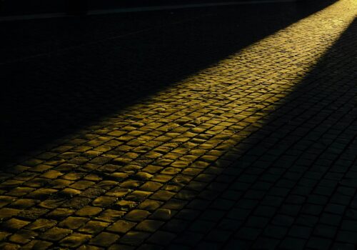 ray-fragapane-QM5-lbqzREc-unsplash